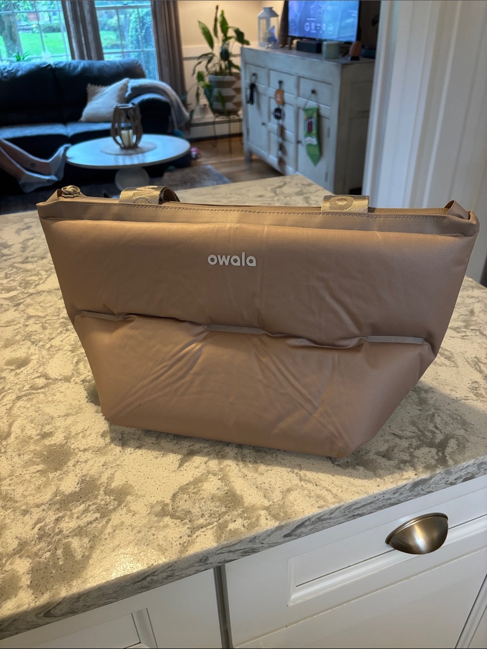 Owala Taupe Lunch Bag - Everyday Carry
